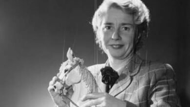 anne hogarth